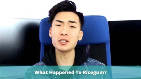 what happened to ricegum|The rise and fall of RiceGum